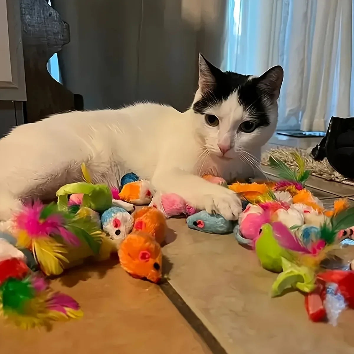 Mixed Cat Toy Variety Pack – Plastic and Plush Set